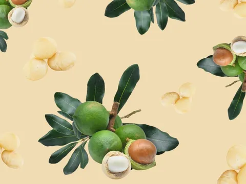 Loại hạt được giáo sư đại học Mỹ ngợi khen vì tác dụng giảm mỡ máu tuyệt vời: Có rất nhiều ở Việt Nam