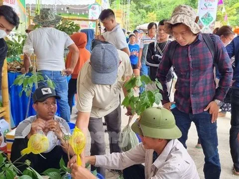 Tận thấy phiên chợ tiền tỷ của các 'đại gia'