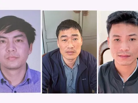 Lâm Đồng: Bắt giam 3 bị can liên quan sai phạm đất đai ở huyện Bảo Lâm