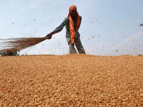 Sau dầu thô và khí đốt, Nga bất ngờ tuyên bố cung cấp thêm một mặt hàng giá rẻ cho các quốc gia “thân thiện”, là mặt hàng Nga xuất khẩu đứng đầu thế giới