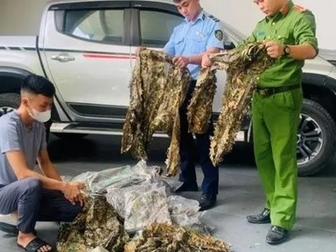 Nghệ An: Xử phạt cá nhân vi phạm trong hoạt động thương mại điện tử