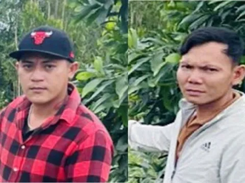 Khởi tố 2 đối tượng vận chuyển trái phép hàng hóa qua biên giới