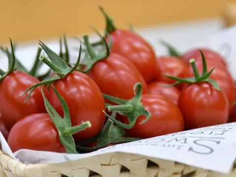 Cải tiến nông nghiệp thúc đẩy môi trường thực phẩm lành mạnh hơn