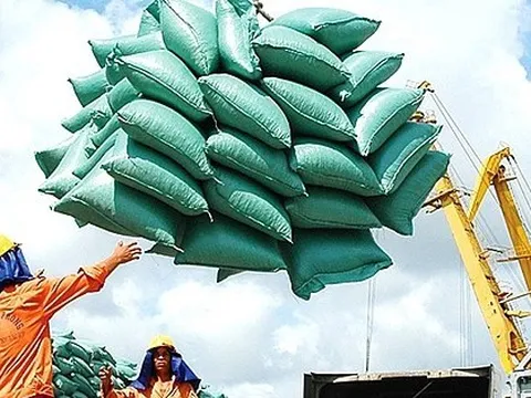 Giá gạo xuất khẩu tăng vọt đẩy giá lúa trong nước 'nóng sốt' từng ngày
