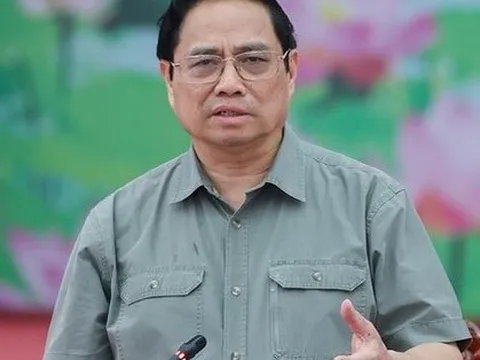 Thủ tướng: Xử lý nghiêm các trường hợp trục lợi, đẩy giá lúa gạo lên cao