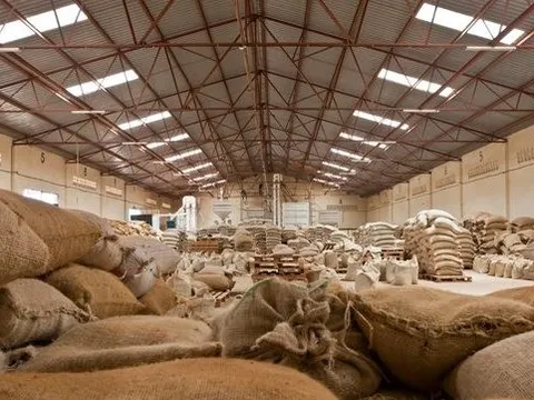 Nga chi gần 140 triệu USD nhập khẩu một loại hạt của Việt Nam trong nửa đầu năm, là mặt hàng Việt Nam có sản lượng đứng thứ 2 thế giới