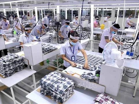 Mức tăng lương tối thiểu vùng năm 2024 dự kiến là bao nhiêu?