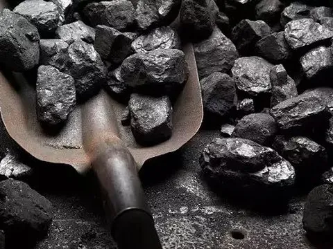 Xuất khẩu “vàng đen” của Việt Nam sang một quốc gia châu Âu bất ngờ tăng hơn 21.000% chỉ trong nửa đầu năm