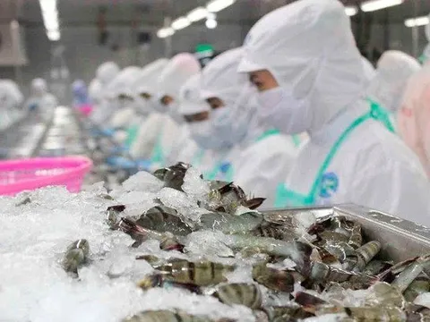 6 tháng đầu năm, một mặt hàng xuất khẩu chủ lực chỉ thu về 1,5 tỷ USD
