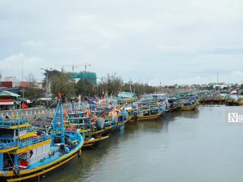 Bình Thuận: Một lao động biển mất tích cách đảo Phú Quý 16 hải lý