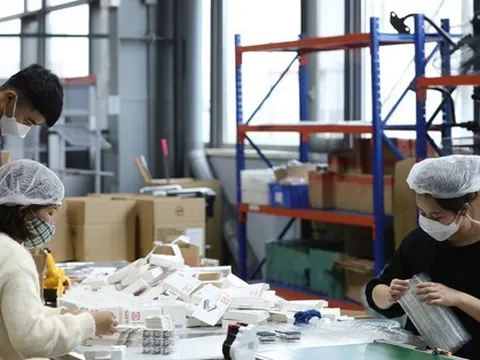 Lương tối thiểu vùng năm 2024: Hoãn xem xét để đánh giá thêm