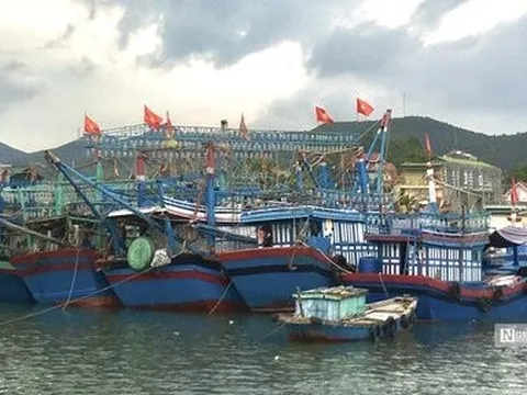 Quảng Ninh quyết liệt xử lý các tàu cá vi phạm khai thác thuỷ sản