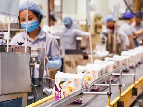 12 năm sau thương vụ "bán mình" có giá gần 4.000 tỷ đồng, Diana trong tay đại gia Nhật đang kinh doanh ra sao?