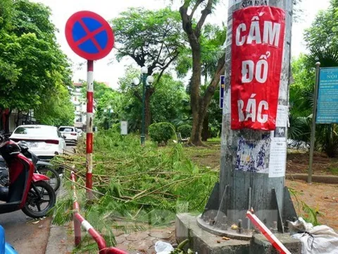 Cảnh nhếch nhác xuống cấp, phế thải bủa vây ở vườn hoa giữa Thủ đô