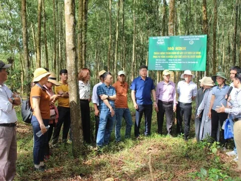 5 yếu tố giúp phát triển mô hình cộng đồng hiệu quả