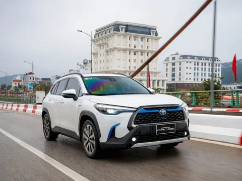 Xe hybrid kết hợp nhiên liệu sinh học: Giảm phát thải ngay mà không cần đầu tư thêm hạ tầng