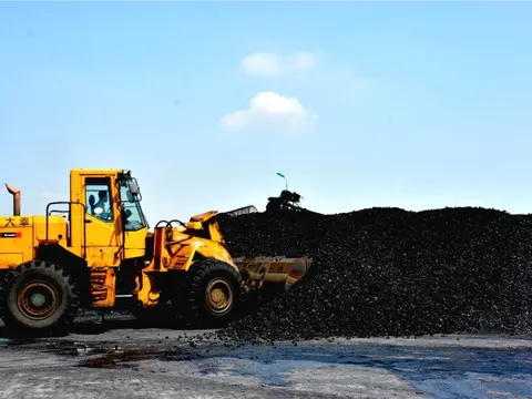 Một DN Việt trên sàn chứng khoán cùng hai đối tác Indonesia trúng gói thầu hơn 6.000 tỷ đồng cung cấp than cho nhà máy Sông Hậu 1