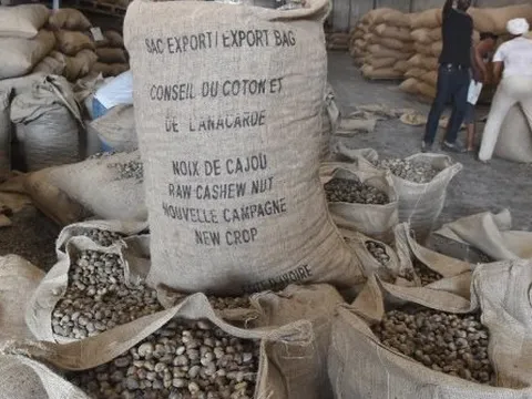 Một loại nông sản của Việt Nam được người Mỹ cực ưa chuộng: Chi hơn 500 triệu USD nhập khẩu từ đầu năm, Việt Nam xuất khẩu đứng đầu thế giới