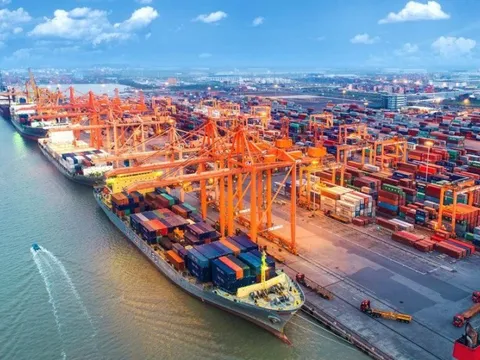 DN vận tải biển mạnh tay mua tàu mới, kỳ vọng vào tương lai tươi sáng hơn sau quý 2/2023 báo cáo lợi nhuận giảm 60%-90%