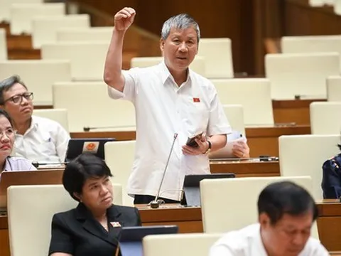 Đại biểu Nguyễn Anh Trí: Rất đau lòng khi Việt Nam phải chi tỉ USD nhập khẩu muối