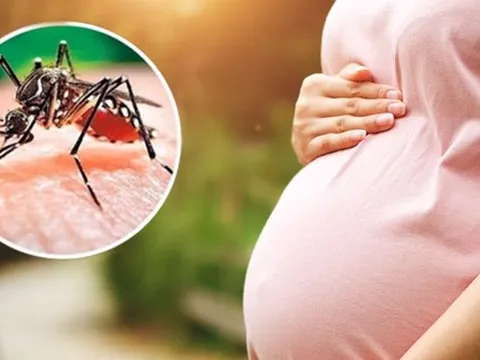 Sốt xuất huyết tại Hà Nội sắp vào đỉnh dịch: Cha mẹ nên ghi nhớ những biểu hiện cảnh báo ở trẻ