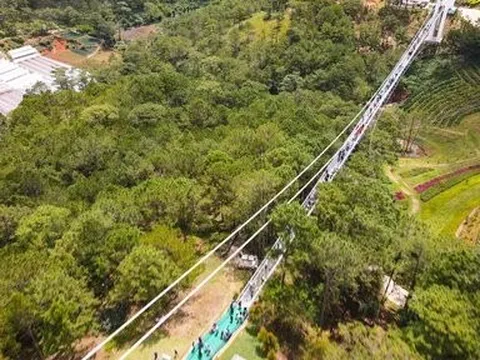 Cầu kính Ngàn Thông ở Đà Lạt mở cửa đón khách