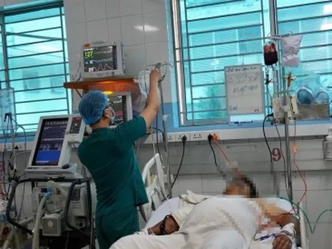 Sốt xuất huyết tại TP.HCM tăng 19,1% sau một tháng