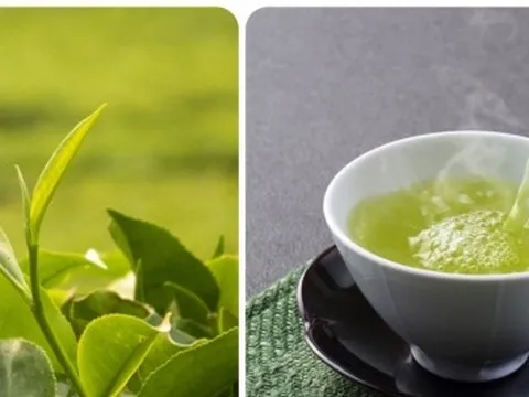 Tác hại của uống chè xanh sai cách