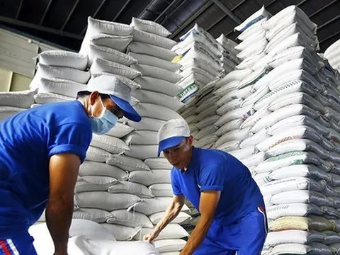 Gạo Việt vượt qua Thái Lan, lập kỷ lục giá cao nhất thế giới