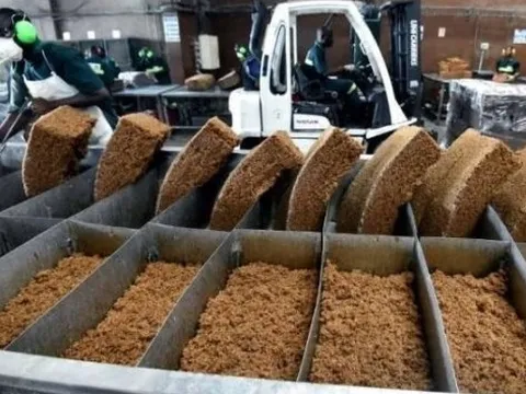 Xuất khẩu một mặt hàng sang Trung Quốc thu về hơn 1 tỷ USD chỉ trong 7 tháng đầu năm, Việt Nam nắm sản lượng đứng thứ 3 thế giới