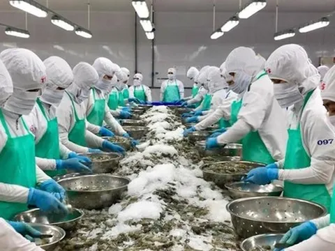 Doanh nghiệp chật vật giữa 'vòng vây' tỷ giá