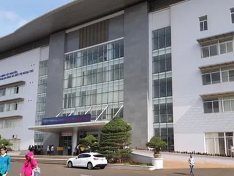 5 người co giật, nôn ói sau khi ăn cà độc dược