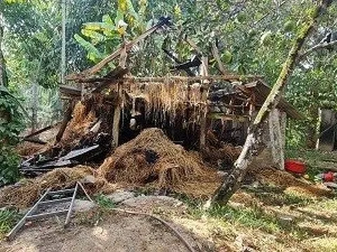 Khởi tố người đàn ông vì ghen phóng hoả đốt chết bò nhà người yêu