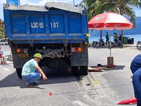 Bắt giam tài xế khiến nữ du khách tử vong vì tránh đèn đỏ