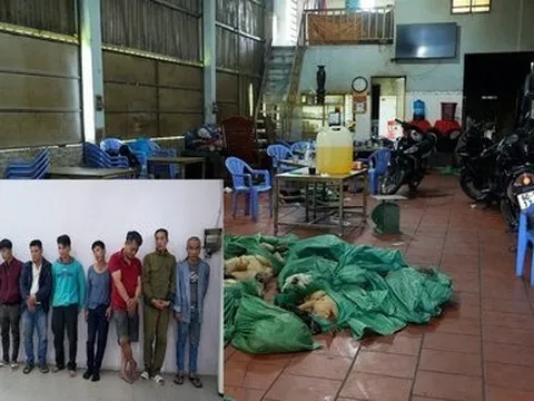 Bà Rịa -Vũng Tàu: Bắt nhóm trộm chó chuyên nghiệp