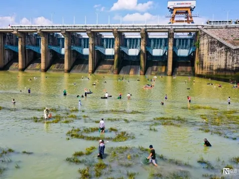 Đồng Nai: Hàng nghìn người kéo nhau săn cá “khủng” tại hồ Trị An