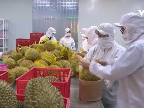 Ngành nông nghiệp thu về hơn 33 tỷ USD