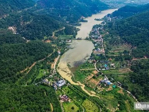 Hà Nội yêu cầu xử lý triệt để vi phạm quản lý, sử dụng đất rừng