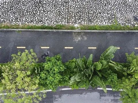Diện mạo mới của đường đi bộ ven sông Tô Lịch