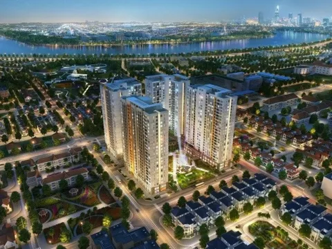 Người đại diện theo pháp luật mới của Novaland là ai?