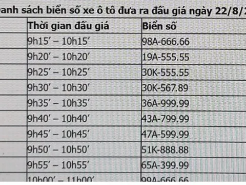 11 biển số xe ô tô siêu đẹp sẽ đấu giá trước ngày 16/9