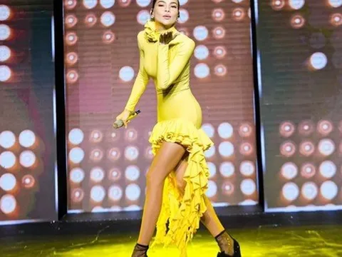 Ca sĩ Hồ Ngọc Hà: Tôi từng đi qua rất nhiều nước mắt
