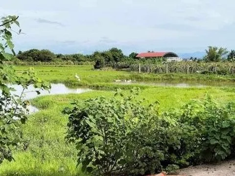 Bình Thuận: Hai chị em ruột tắm hồ gần nhà tử vong thương tâm