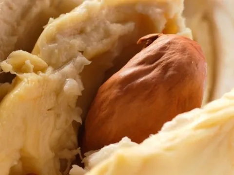 Loại quả ‘nặng mùi’ bị nhiều người chê nhưng là vị thuốc bổ, giảm mỡ máu, ngừa cả ung thư