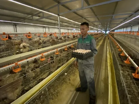 Công nghệ sẽ là nền tảng thúc đẩy chăn nuôi và thú y