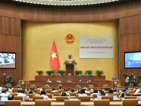 Khắc phục triệt để tình trạng tiêu cực trong hoạt động đấu giá tài sản