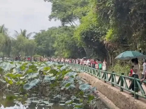 Tết Độc lập hàng triệu trái tim hướng về quê Bác Hồ