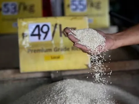 Một quốc gia châu Á chính thức áp giá trần đối với gạo để ngăn chặn bão giá, là khách hàng lớn nhất nhập khẩu gạo Việt Nam