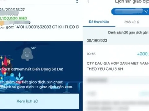 Công ty đấu giá biển số xe ôtô có được nhận lãi từ tiền cọc của người tham gia?