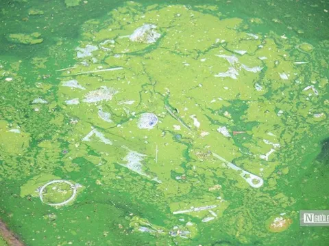 Hồ nước rộng 2ha giữa lòng Thủ đô ô nhiễm nặng nề